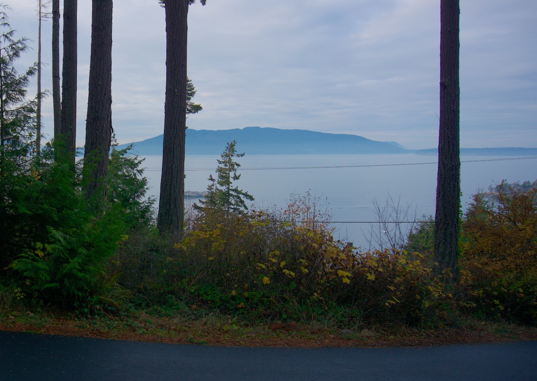picture from interurban trail in Bellingham, WA