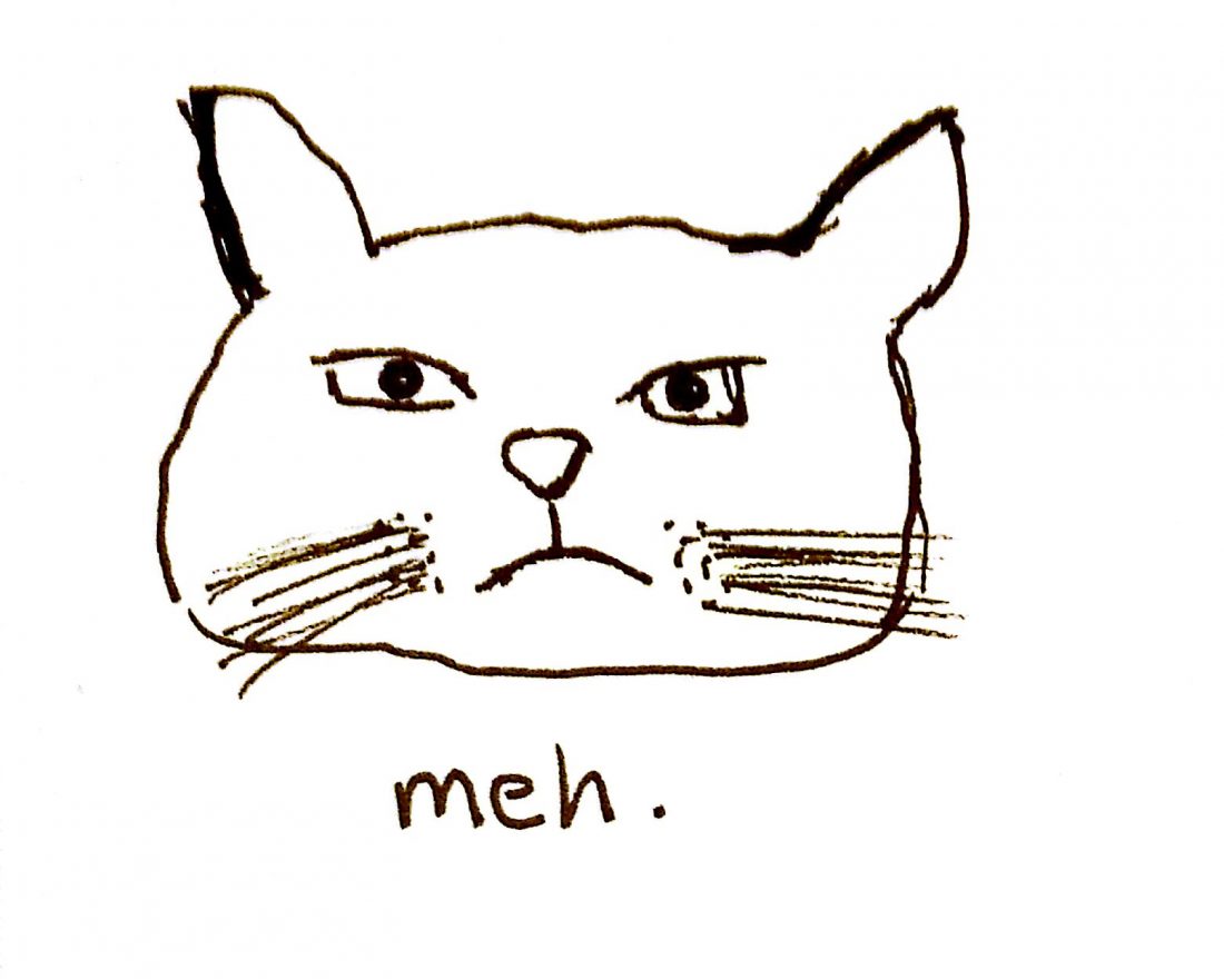 sketch of grumpy cat